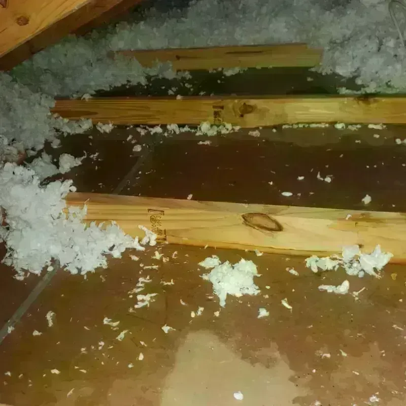 Attic Water Damage in Amity, OR