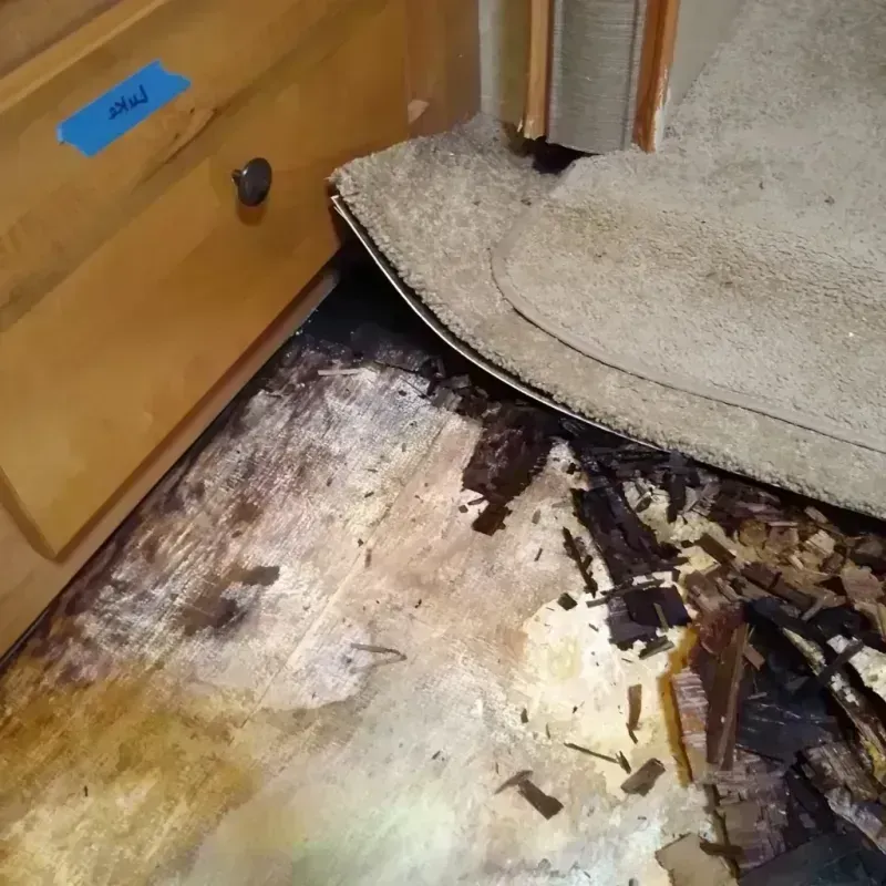 Wood Floor Water Damage in Amity, OR